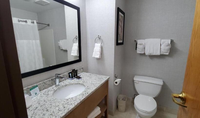 Superior Suite, Wingate By Wyndham Lethbridge