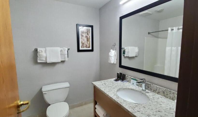 Deluxe Szoba, Wingate By Wyndham Lethbridge