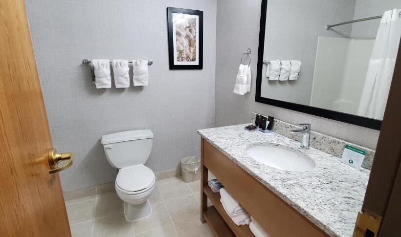 Lakosztály, Wingate By Wyndham Lethbridge