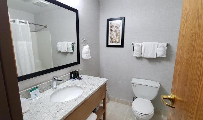 Lakosztály, Wingate By Wyndham Lethbridge