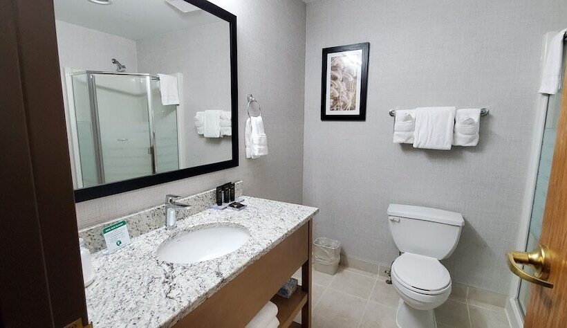 Deluxe Suite, Wingate By Wyndham Lethbridge