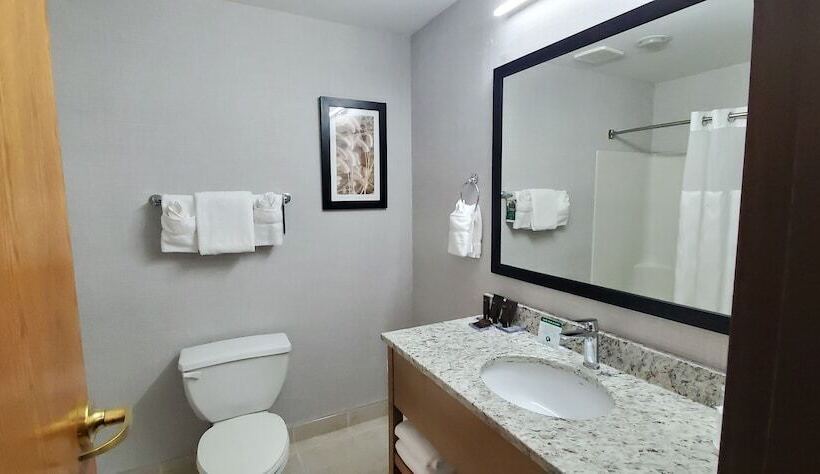 Deluxe Szoba, Wingate By Wyndham Lethbridge