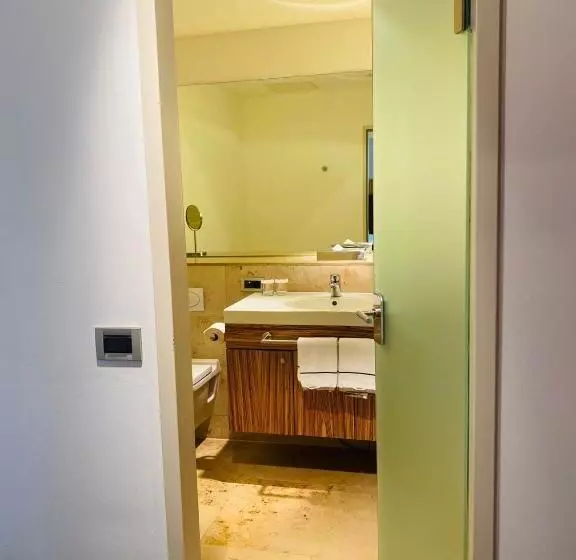 スーペリアシングルルーム, Achat Hotel Regensburg Herzog Am Dom