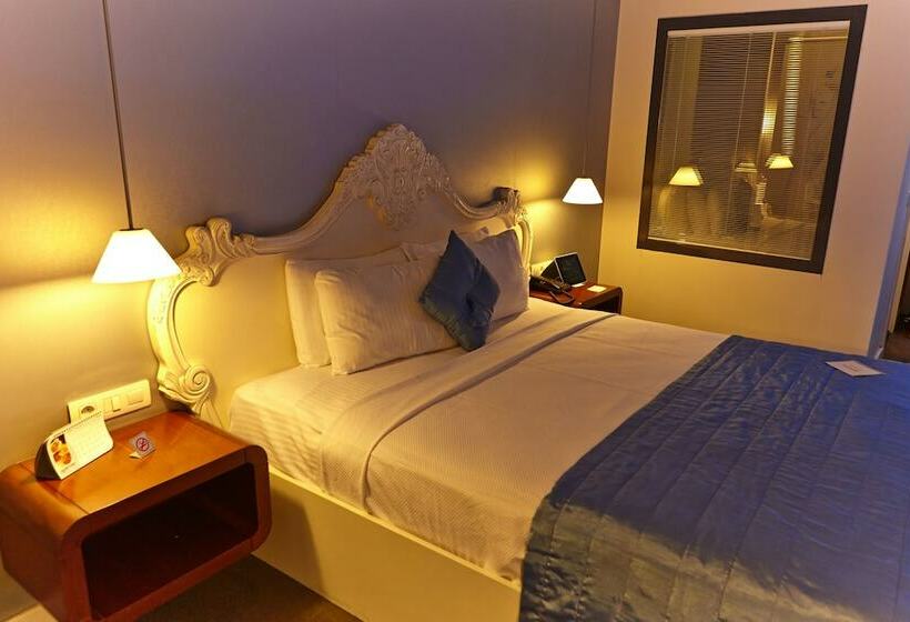 Camera Standard, Beyond