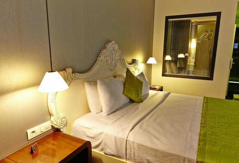 Camera Standard, Beyond