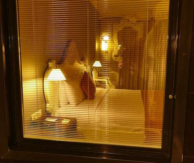 Camera Standard, Beyond