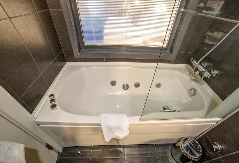 Camera Deluxe, Beyond