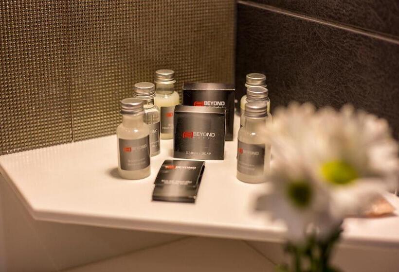 Camera Standard, Beyond