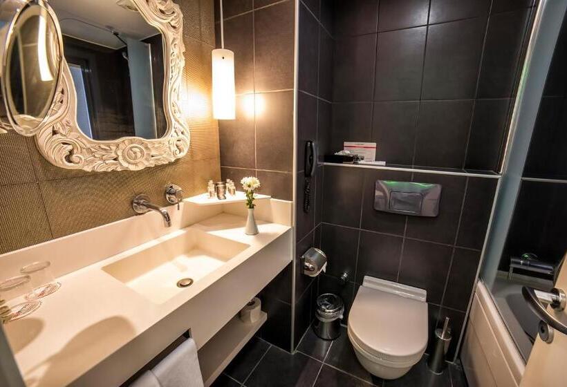 Camera Standard, Beyond