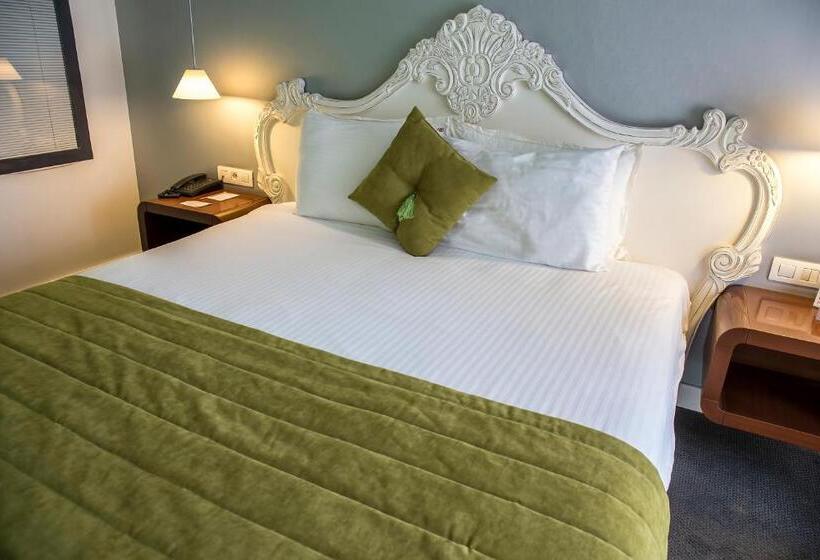 Camera Standard, Beyond