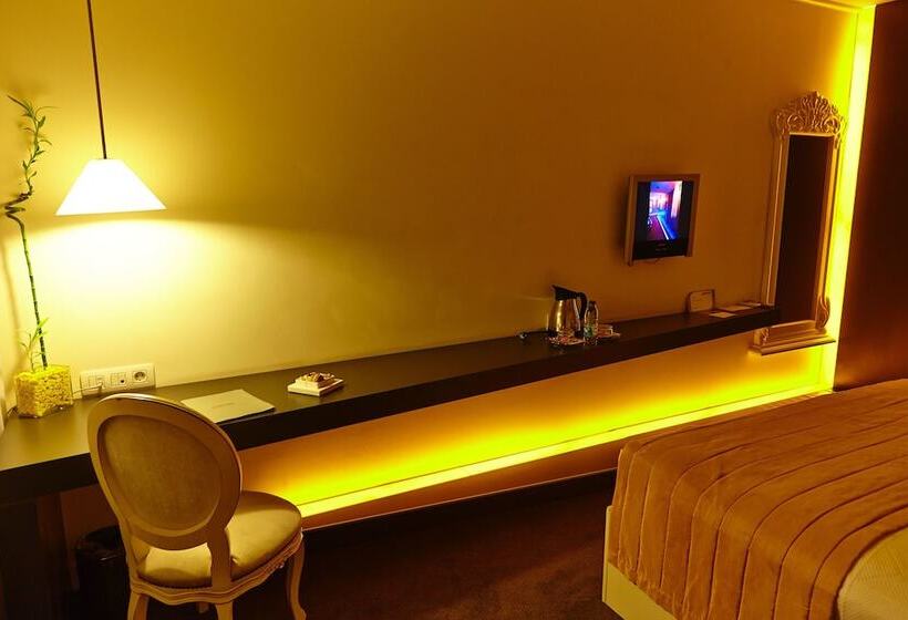 Camera Standard, Beyond