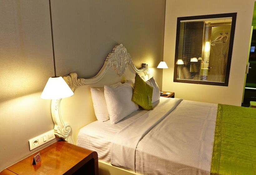 Camera Deluxe, Beyond