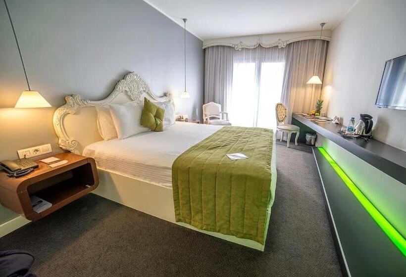 Camera Standard, Beyond