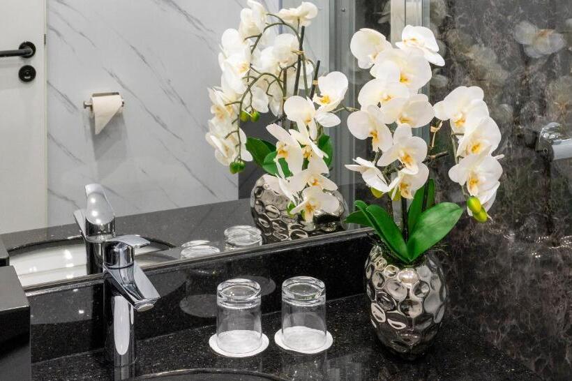 컴포트 룸, Plaza Inn Mühldorf