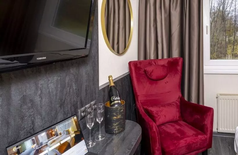 Comfort Yhden Hengen Huone, Plaza Inn Mühldorf