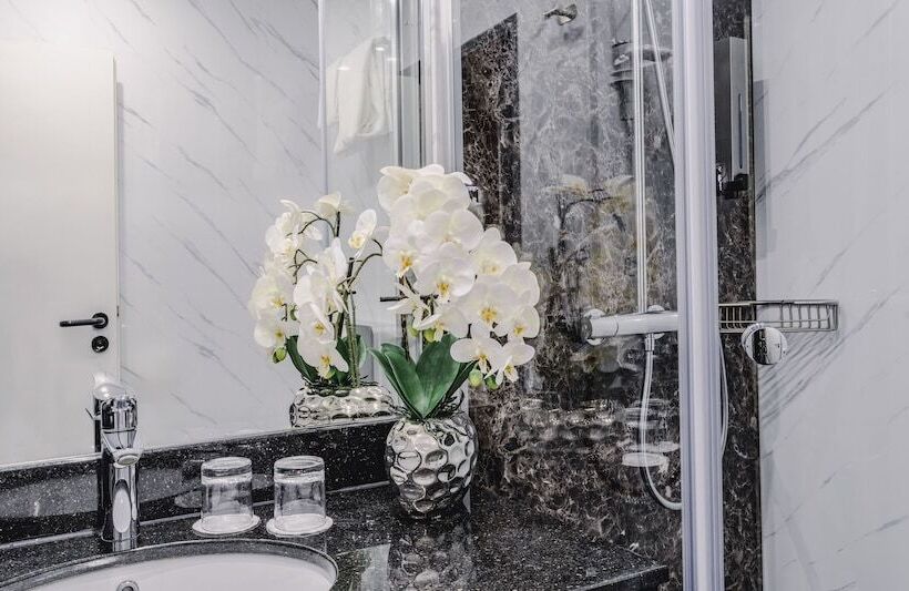 컴포트 룸, Plaza Inn Mühldorf