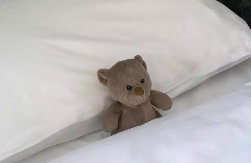 Standard Kolmen Hengen Huone, Plaza Inn Mühldorf