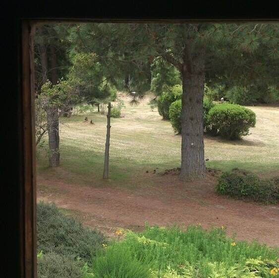 غرفة قياسية, Posada Del Angel