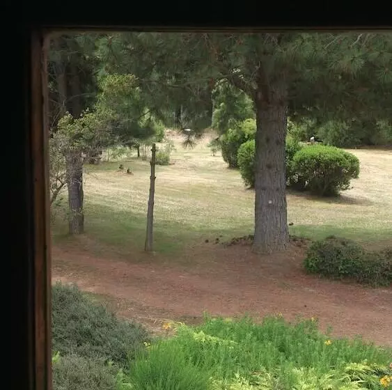 اتاق استاندارد, Posada Del Angel