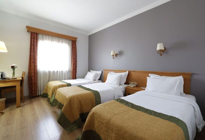 Номер Стандарт Трехместный, Usta Park