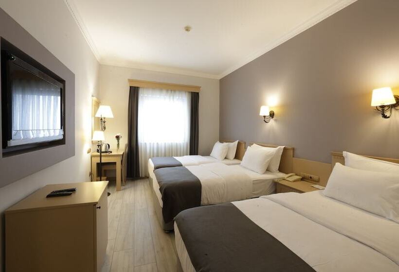 Номер Стандарт Трехместный, Usta Park