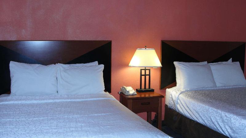 Номер Стандарт, Dama