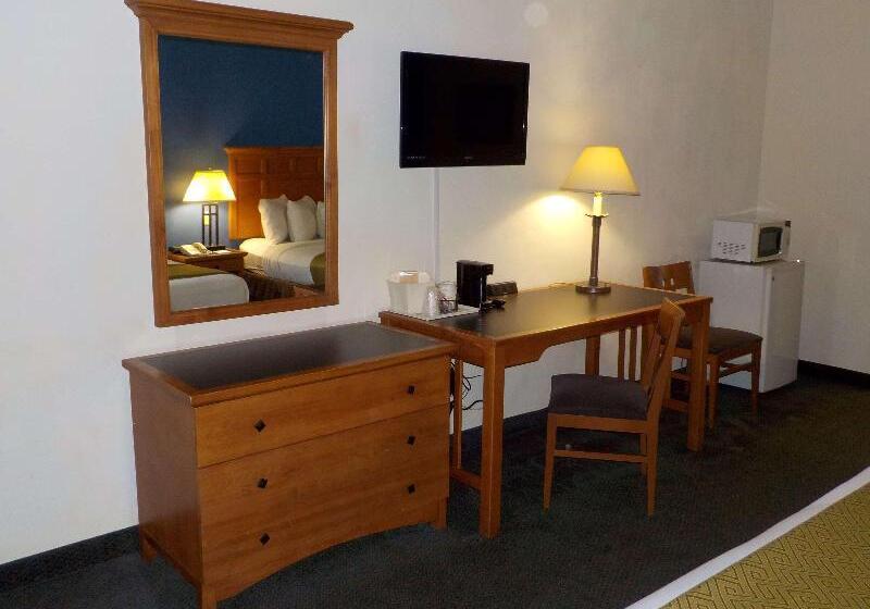 Номер Стандарт, Dama