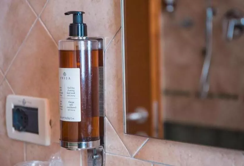 اتاق استاندارد چهارنفره با بالکن, Prestige
