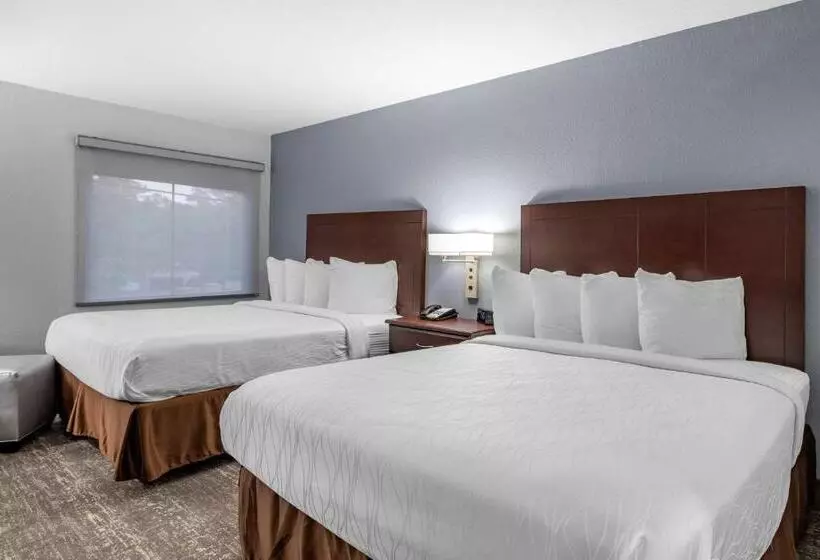 スタンダードルーム, Best Western Plus Orange County