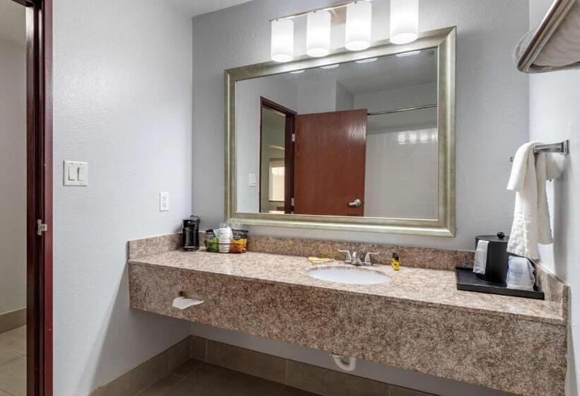 身障者適用スタンダードルーム, Best Western Plus Orange County