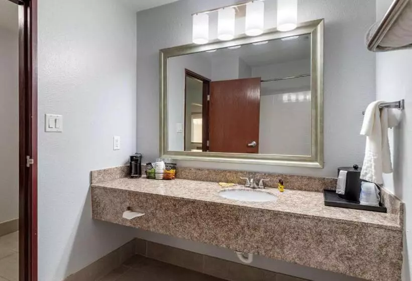 身障者適用キングサイズベッドルーム, Best Western Plus Orange County