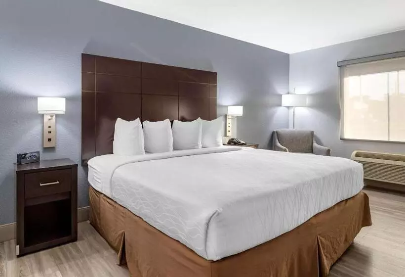 身障者適用キングサイズベッドルーム, Best Western Plus Orange County