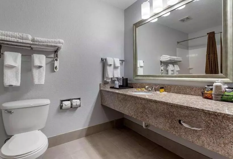 キングサイズベッドのスタンダードルーム, Best Western Plus Orange County