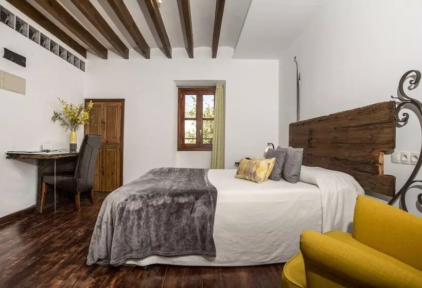 Basic-huone, Can Joan Capo  Adults Only