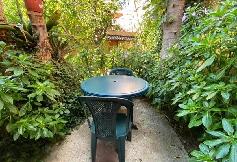 Superior Kamer, Hostal Alcala