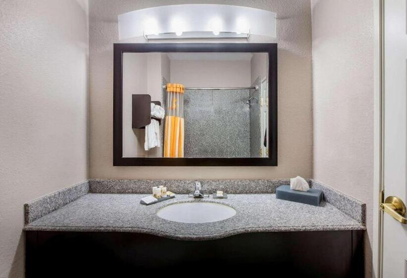 اتاق اجرایی با تخت بزرگ, La Quinta By Wyndham Pasadena