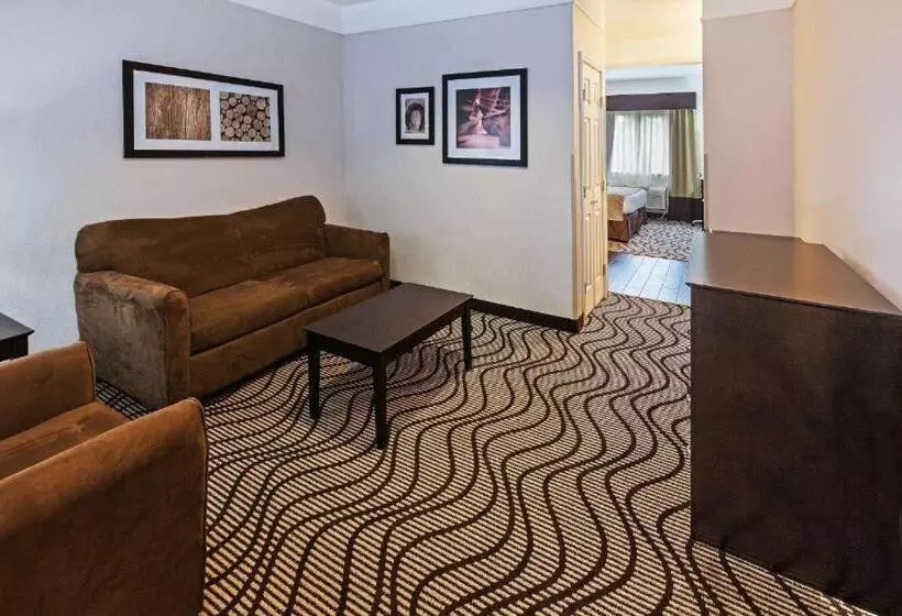身障者適用キングサイズベッドルーム, La Quinta By Wyndham Pasadena