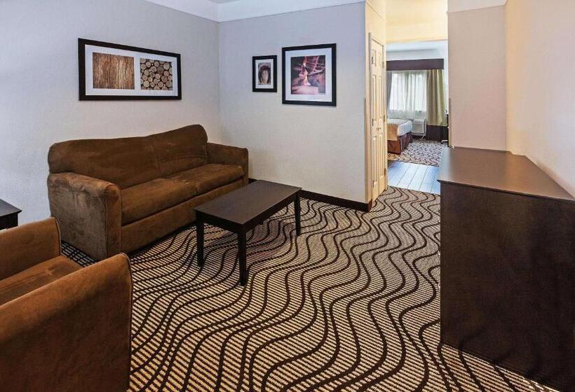 장애인을 위한 킹사이즈 침대 스탠다드 룸, La Quinta By Wyndham Pasadena