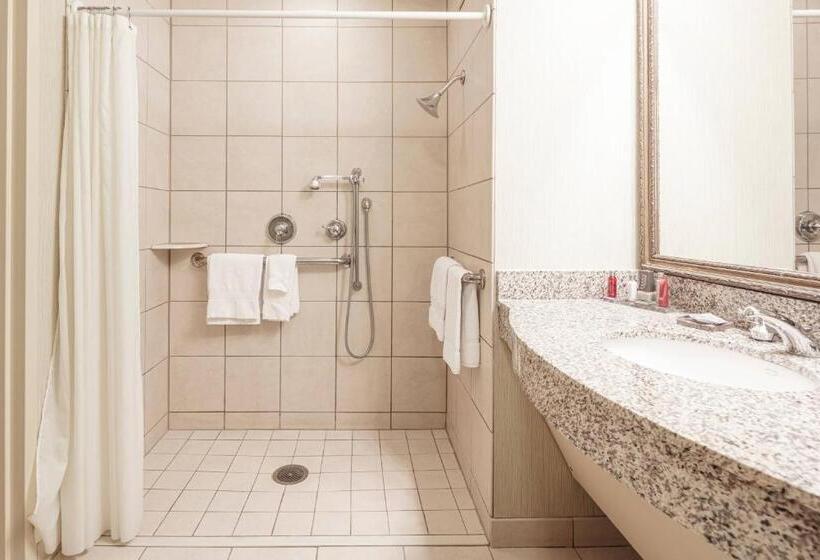 غرفة قياسية سرير كينج, Renaissance Shoals Resort And Spa