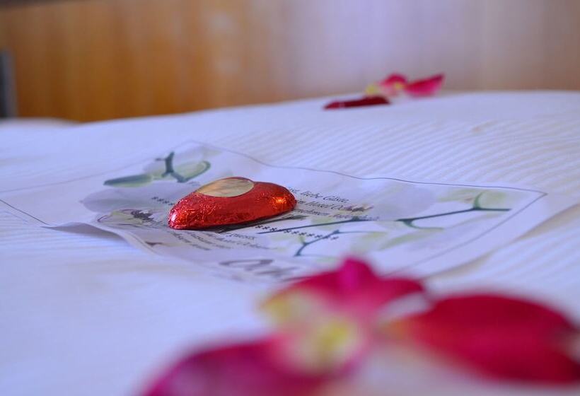 コンフォートルーム, Ochsen