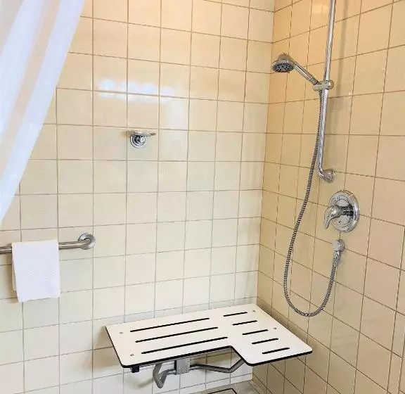 اتاق استاندارد با تخت بزرگ, Quality Inn & Suites Sequim At Olympic National Park