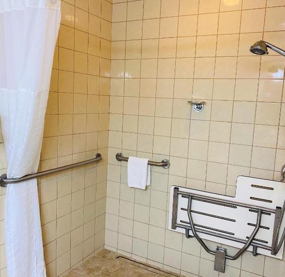 스탠다드 룸 킹사이즈 침대, Quality Inn & Suites Sequim At Olympic National Park