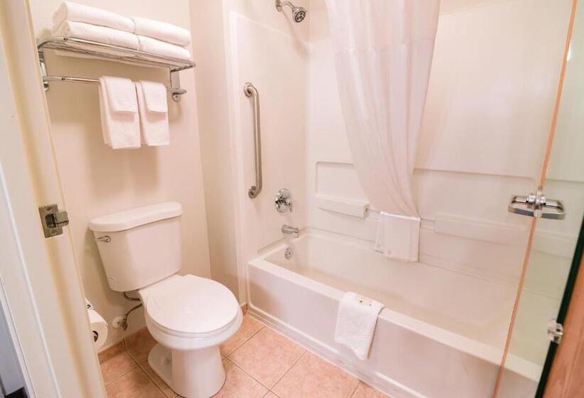 غرفة قياسية سرير كينج, Quality Inn & Suites Sequim At Olympic National Park