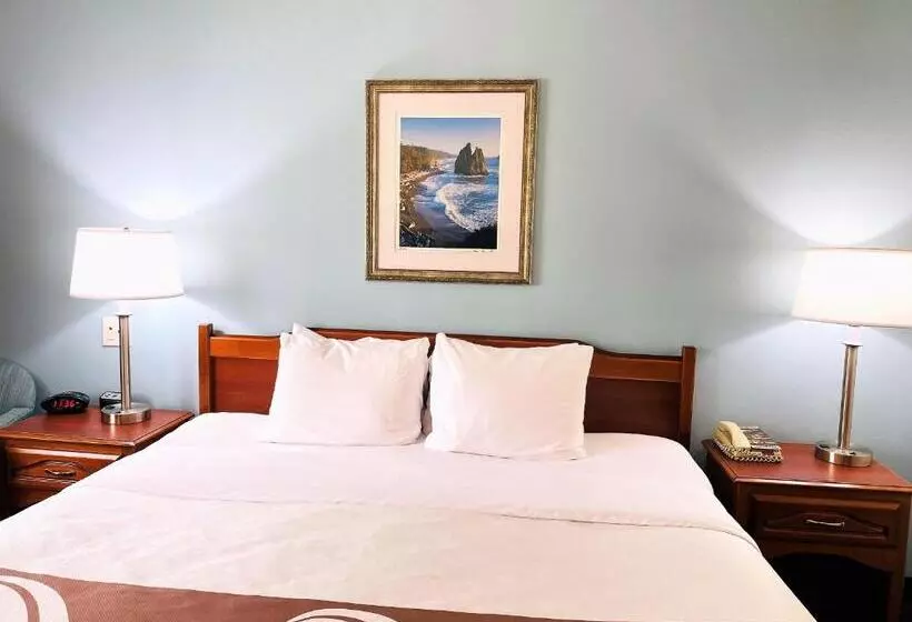 اتاق استاندارد با تخت بزرگ برای معلولان, Quality Inn & Suites Sequim At Olympic National Park