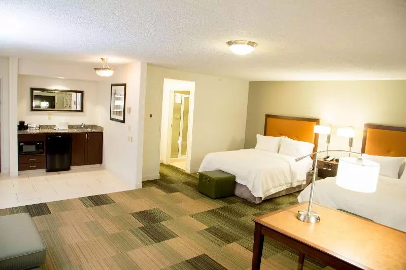 سوئیت با تخت بزرگ, Residence Inn By Marriott Laredo Del Mar