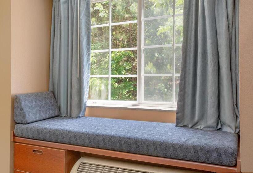 غرفة قياسية, Microtel Inn & Suites By Wyndham Gardendale