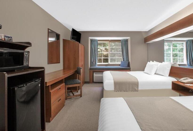 Номер Стандарт, Microtel Inn & Suites By Wyndham Gardendale
