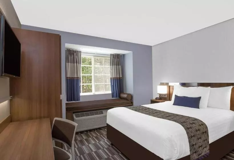 身障者適用スタンダードルーム, Microtel Inn & Suites By Wyndham Gardendale