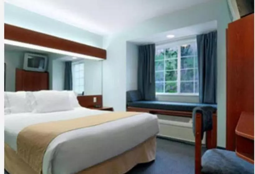 身障者適用スタンダードルーム, Microtel Inn & Suites By Wyndham Gardendale