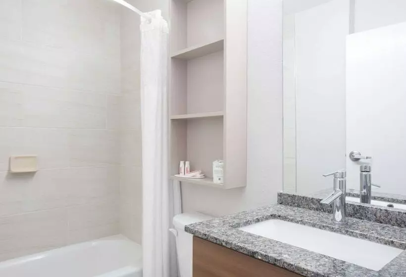 身障者適用スタンダードルーム, Microtel Inn & Suites By Wyndham Gardendale